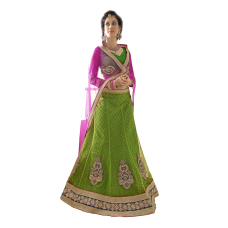 Triveni Splendid Green Colored Border Worked Net Jacquard Lehenga Choli